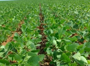 IMG_20241118_075445953_HDR_0