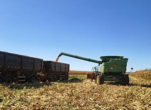 IMG_20250730_094128038_HDR_0