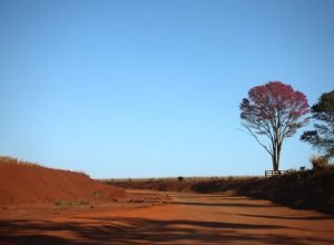 IMG_8291-scaled-e1726060636705-730x480