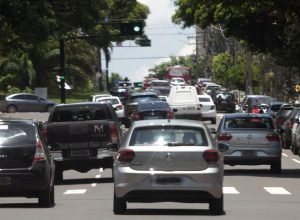 IPVA-Foto-Saul-Schramm-2-730x480