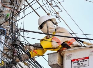 Limpa-fios-Campo-Grande-38-e1765397203361-730x480