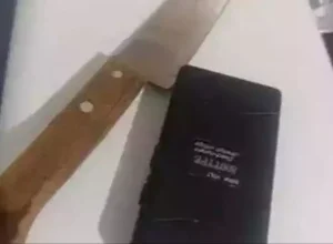 MixCollage-21-Aug-2025-05-30-AM-2013-1536x864