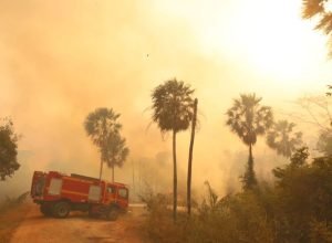 Operacao-Pantanal-Foto-Alvaro-Rezende-14-1-730x480
