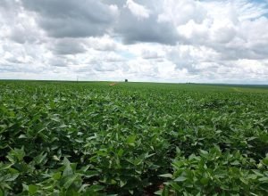 PAULO_KEIJI_MATSUMOTO_JANEIRO_23_1