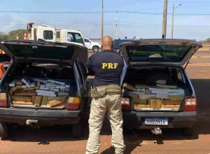 PRF-800-quilos-1536x1030