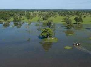 Pantanal-Flavio-Andre-de-Souza-Mtur-730x387