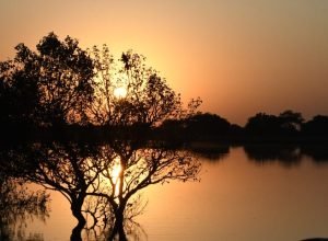 Pantanal-Tempo-Foto-Bruno-Rezende-18-730x480