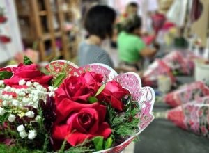 Pesquisa_Floricultura-Foto-Kleber_Clajus1-730x425