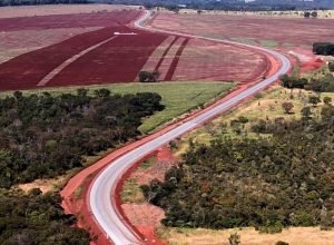 Rodovias-Fto-Chico-Ribeiro-1-730x480