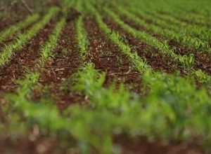 SAVE_20260318_111526_0