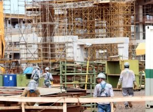 Suzano-12-730x480 (1)