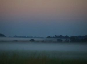 Tempo-frio-neblina-Foto-Alvaro-Rezende1-730x480