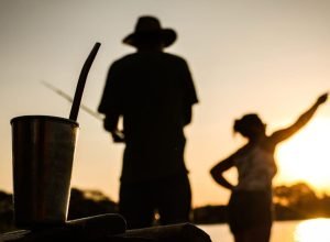 xr:d:DAFkl9X-dNk:118,j:617396795570975864,t:23092121