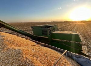 WhatsApp Image 2024-07-17 at 17.13.18_0