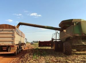 WhatsApp Image 2024-07-25 at 19.19.52_1