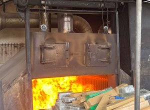 WhatsApp-Image-2025-01-29-at-17.44.12