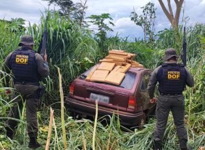 WhatsApp-Image-2025-02-07-at-18.27.56