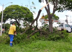 WhatsApp-Image-2025-02-10-at-09.31.32