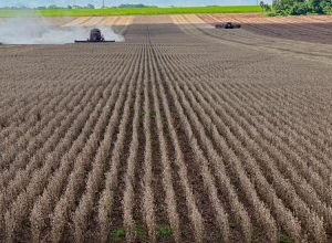 WhatsApp Image 2025-02-10 at 19.07.11_0