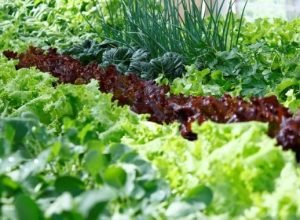 WhatsApp-Image-2025-02-17-at-11.44.06