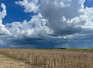 WhatsApp Image 2025-04-02 at 20.24.36_0