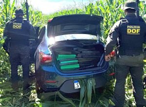 WhatsApp-Image-2025-04-14-at-09.51.11