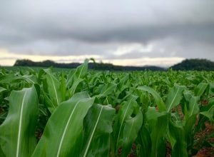 WhatsApp Image 2025-04-15 at 19.37.10_0