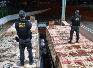 WhatsApp-Image-2025-04-16-at-12.28.38