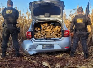 WhatsApp-Image-2025-06-04-at-16.20.26