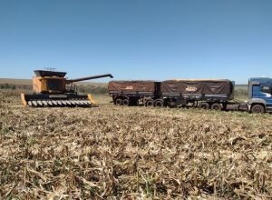 WhatsApp Image 2025-07-30 at 18.34.18_1