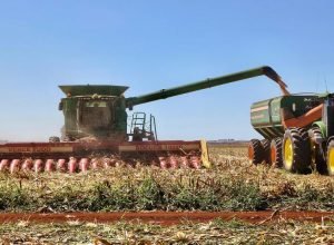 WhatsApp Image 2025-08-01 at 16.59.36_0