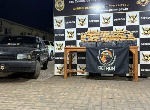 WhatsApp-Image-2025-08-04-at-14.10.28-1