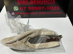 WhatsApp-Image-2025-08-05-at-09.14.36-e1754401238716