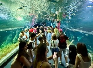 WhatsApp-Image-2025-08-06-at-11.01.18-730x480