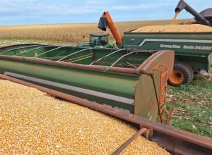 WhatsApp Image 2025-08-20 at 18.59.40_0