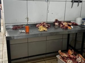 WhatsApp-Image-2025-08-29-at-15.57.19-2-scaled