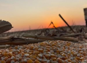 WhatsApp Image 2025-09-09 at 19.23.42 (1)_0