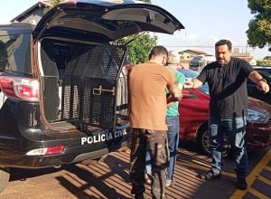 WhatsApp-Image-2025-09-17-at-18.45.30-1536x864