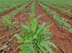 WhatsApp Image 2025-09-23 at 20.44.15_0