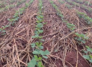 WhatsApp Image 2025-10-13 at 18.18.43_2 (1)