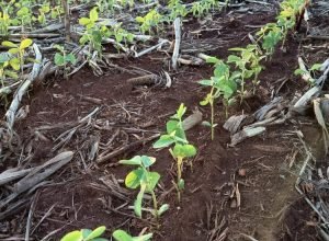 WhatsApp Image 2025-10-21 at 18.58.10_0