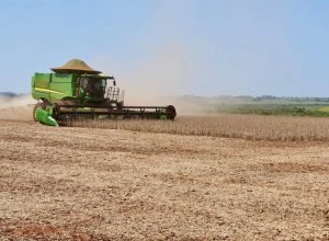 WhatsApp Image 2025-11-10 at 18.07.12_0