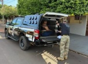 WhatsApp-Image-2025-11-11-at-07.51.58-225x300