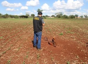 WhatsApp-Image-2025-11-12-at-09.11.51