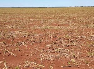 WhatsApp Image 2025-11-12 at 10.39.16_0