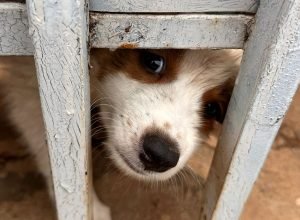 WhatsApp-Image-2025-11-13-at-18.18.06-e1763125368971