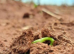 WhatsApp Image 2025-11-19 at 20.05.51 (1)_0