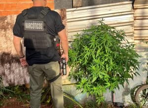 WhatsApp-Image-2025-11-26-at-14.45.10-1-e1764183912608