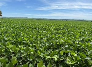 WhatsApp Image 2025-11-26 at 14.52.39_0