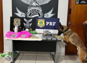 WhatsApp-Image-2025-12-08-at-13.57.38-e1765219596581